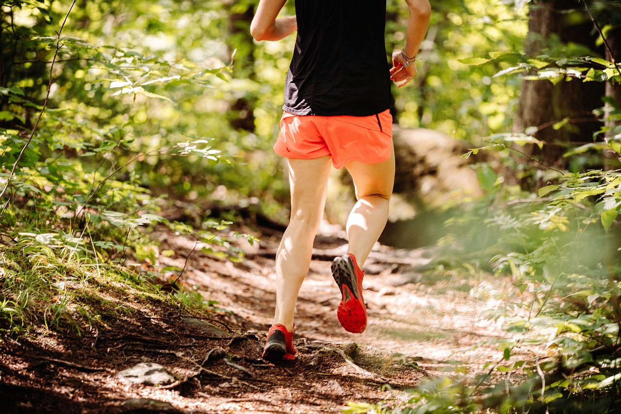 Corriendo en el bosque