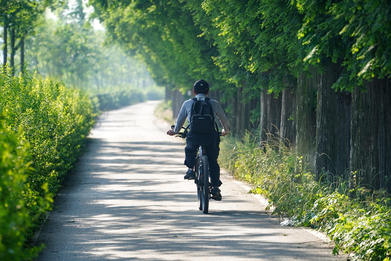 Montando bicicleta en la naturaleza